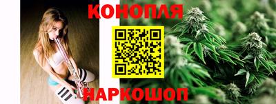 прущие крисы Донской